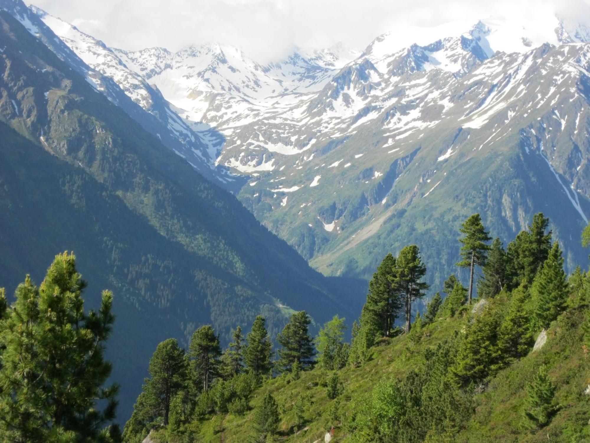 Ferienhaus Stubai Neustift im Stubaital Kültér fotó