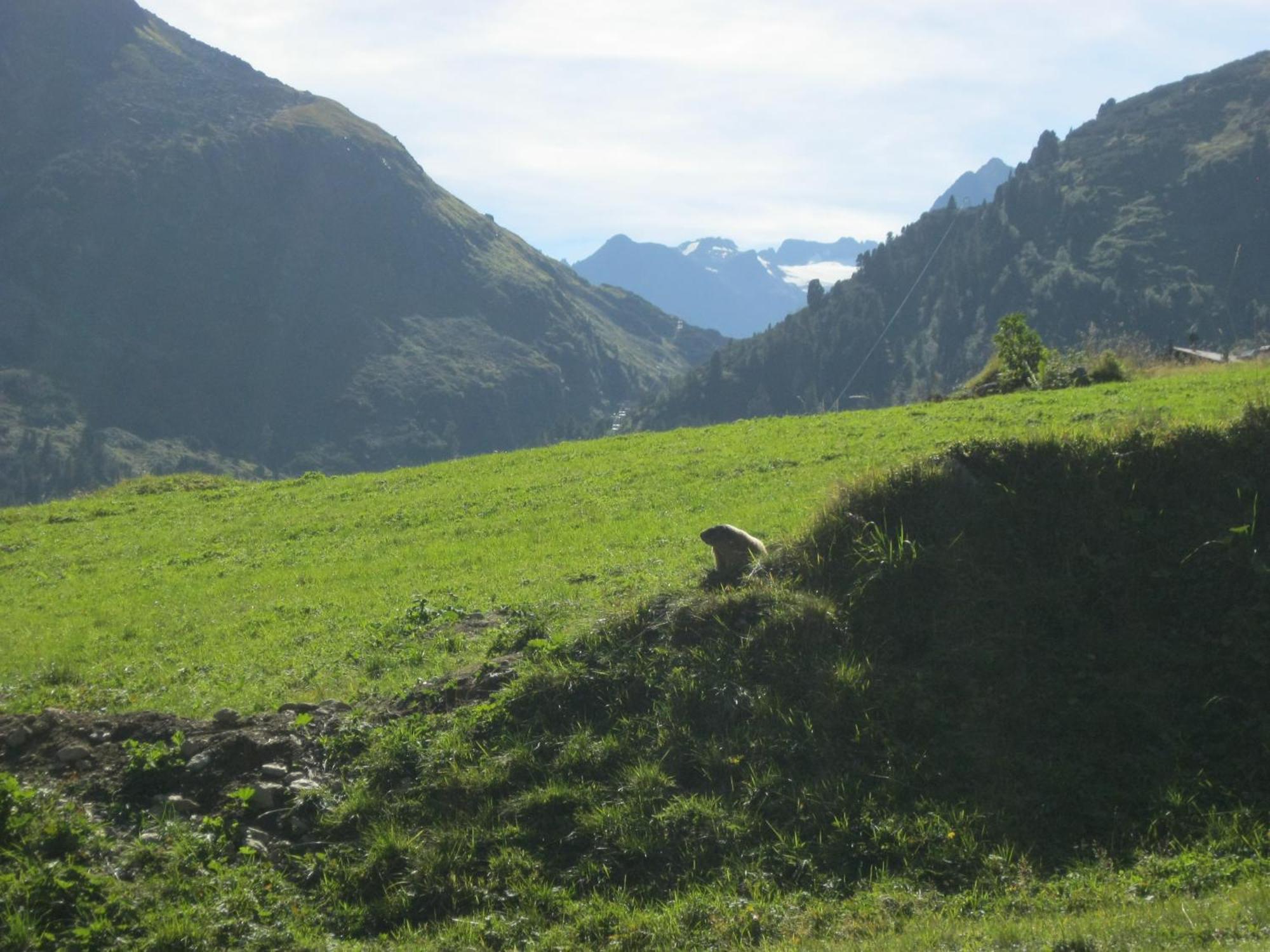 Ferienhaus Stubai Neustift im Stubaital Kültér fotó